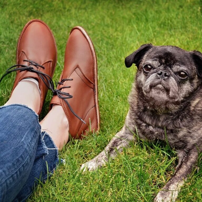 Softstar Shoes Review: Handcrafted, Eco-Friendly Footwear for the Whole Family