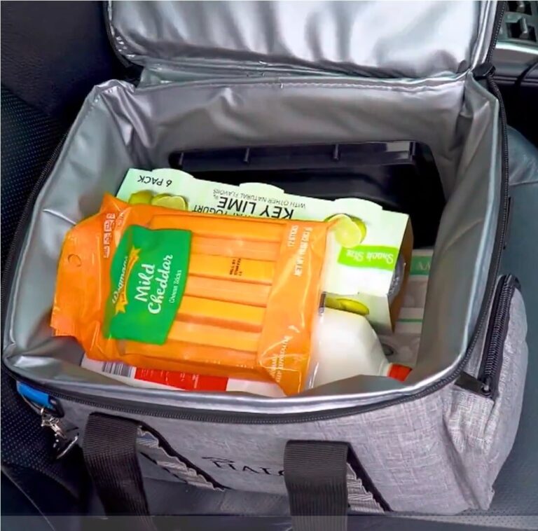 Your Ultimate Guide to Staying Chill On-the-Go: Choosing the Perfect Cooler Bag