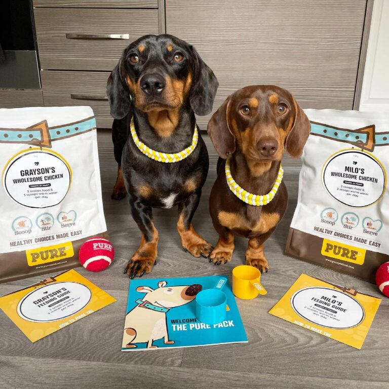 Pure Pet Food Review: Fresh, Nutritious Meals Delivered to Your Door