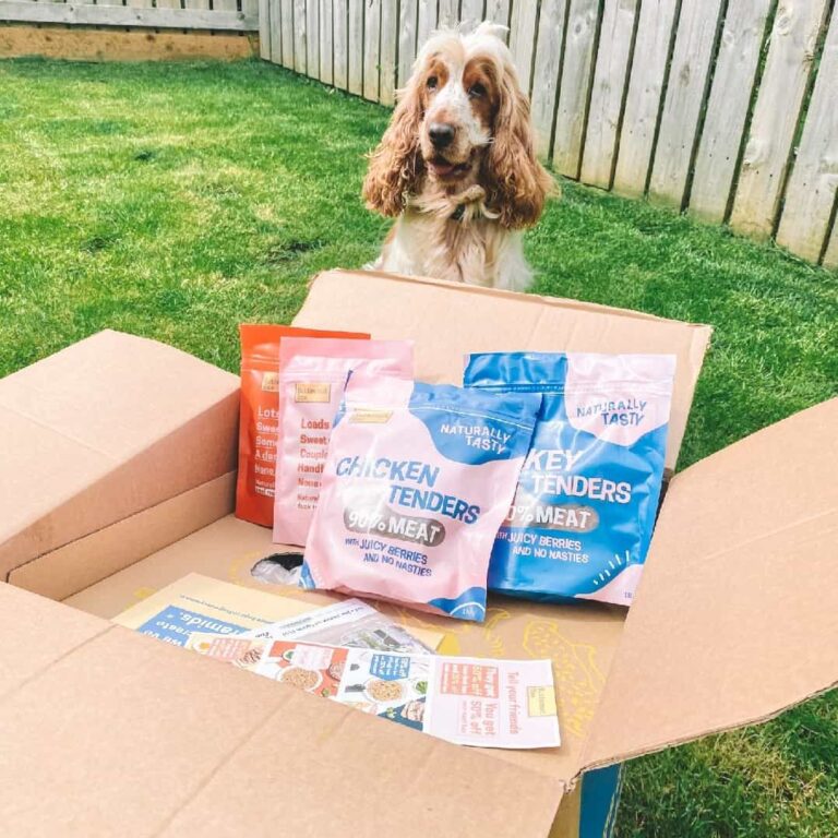 Why I Switched My Dog to Butternut Box Fresh Food Delivery: An Honest Review