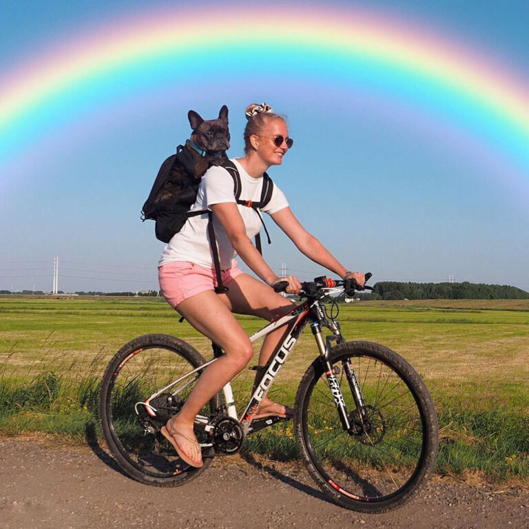 K9 Sport Sack Review: The Ultimate Dog Carrier for Unforgettable Adventures
