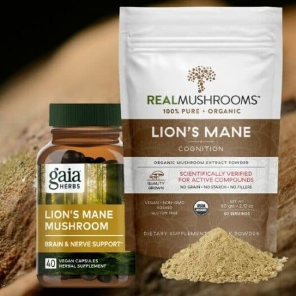 Unlock the Astonishing Brain-Boosting Benefits of Lion&lsquo;s Mane Mushroom