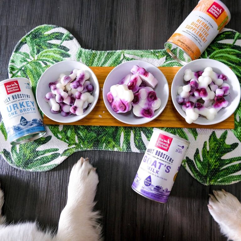 Why this Fashionista Trusts The Honest Kitchen Above All to Fuel Her Fur Babies