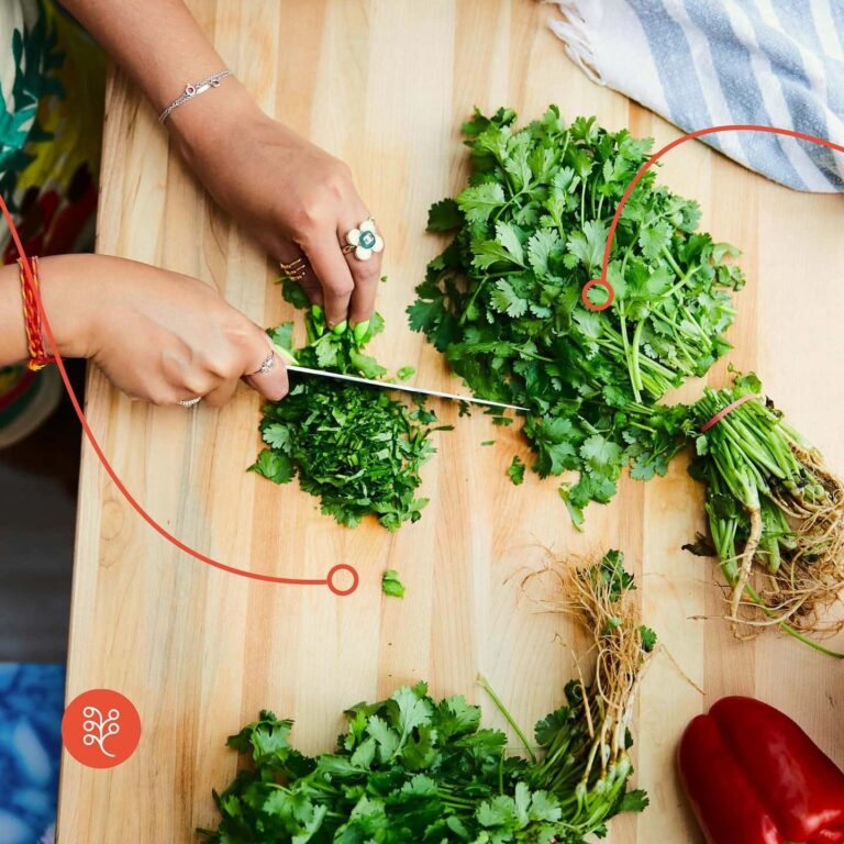 Territory Foods Review: Is This Healthy Meal Delivery Service Worth the Hype?