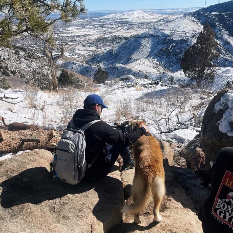 Trusted House Sitters Review: The Ultimate Guide for Pet Lovers Who Travel